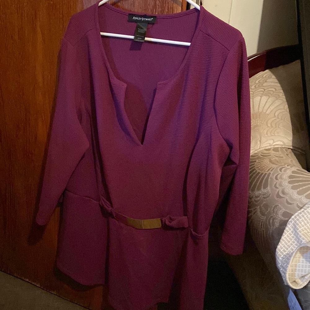 Ashley Stewart Shirt Size22/24